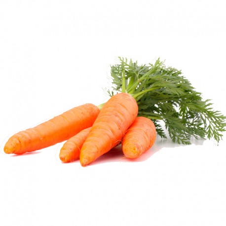 Zanahoria Kilos Tierra Verde