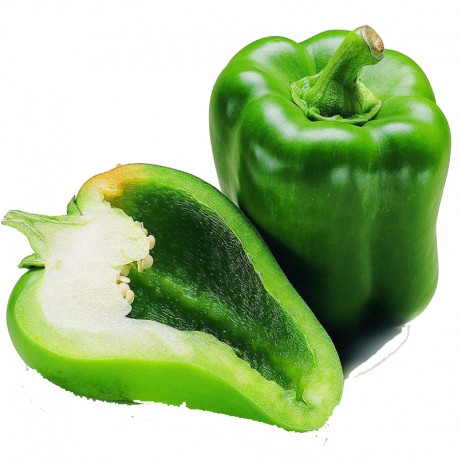 Pimiento Verde (u.) - Tierra Verde